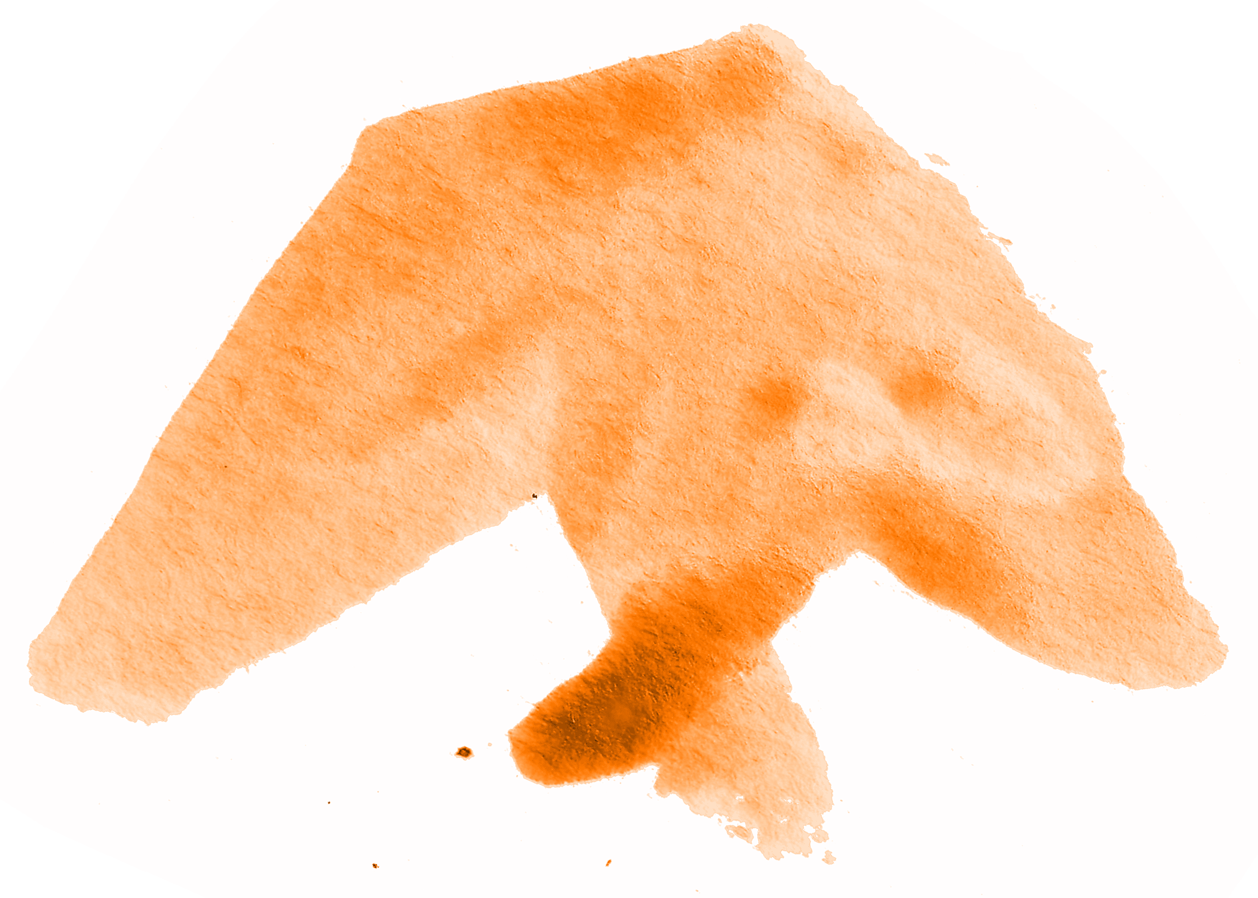 Orange Andorinha Carqueijais