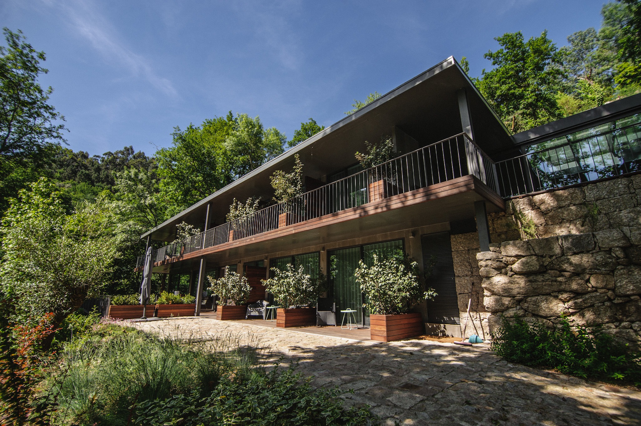 Modern house with terrace surrounded by greenery