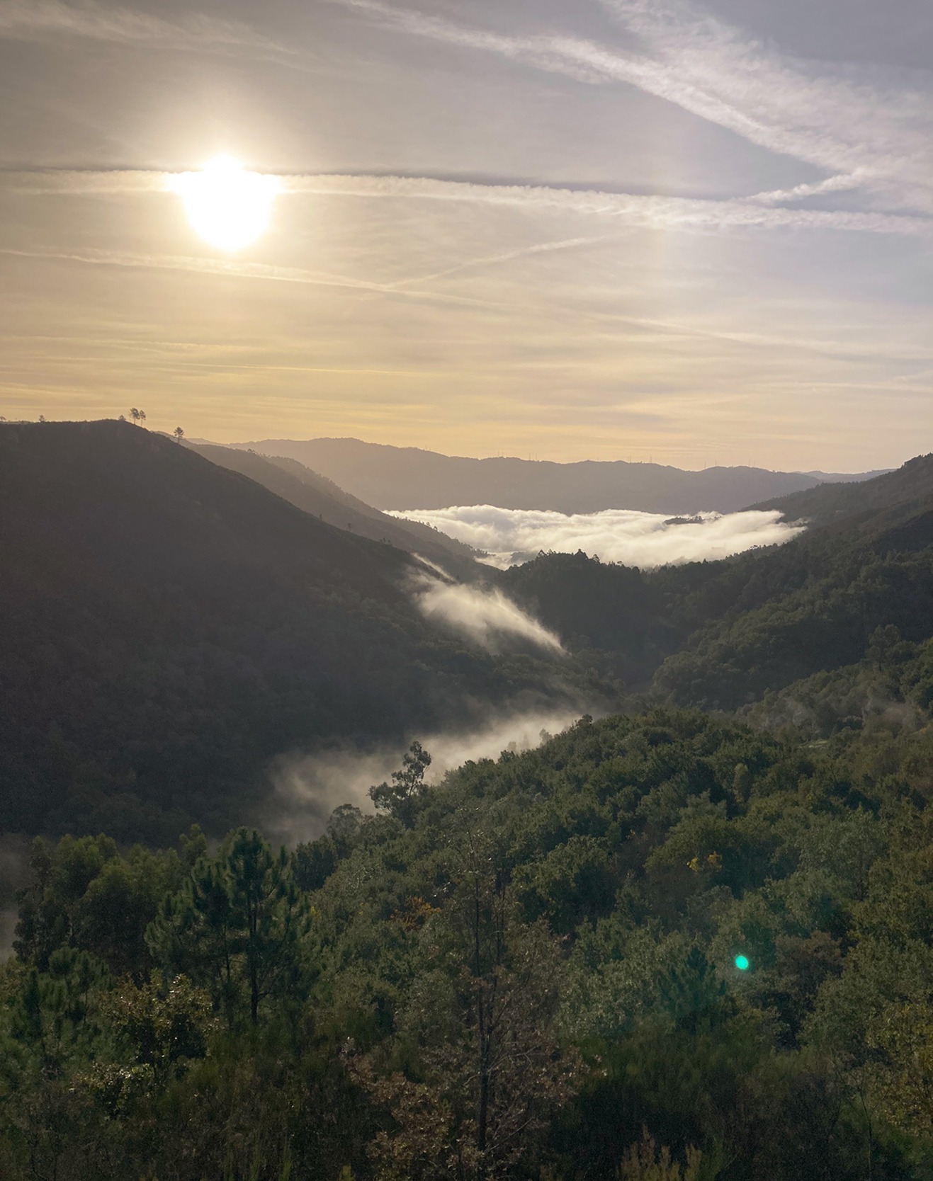 Morning Valley Light Morning mist rising over valley with soft sunlight