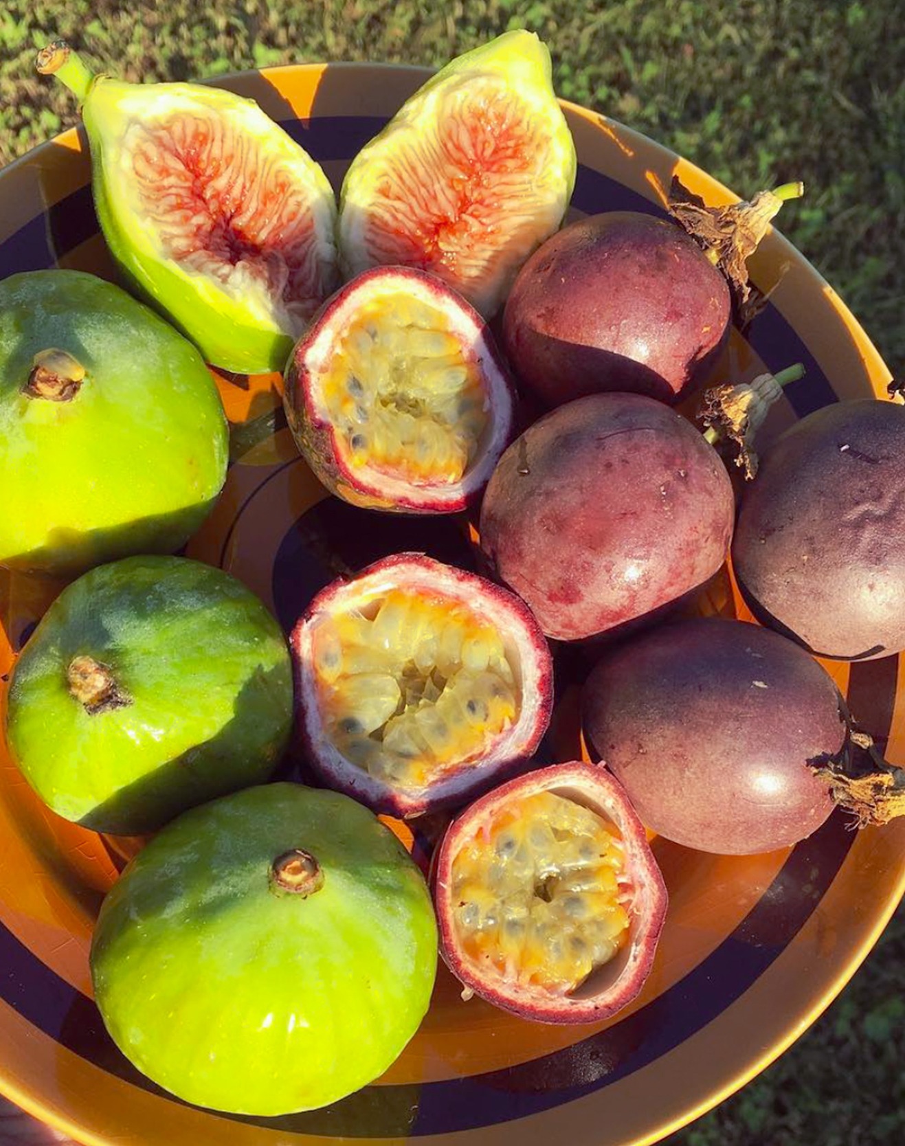 Fresh figs and fruit in bowl