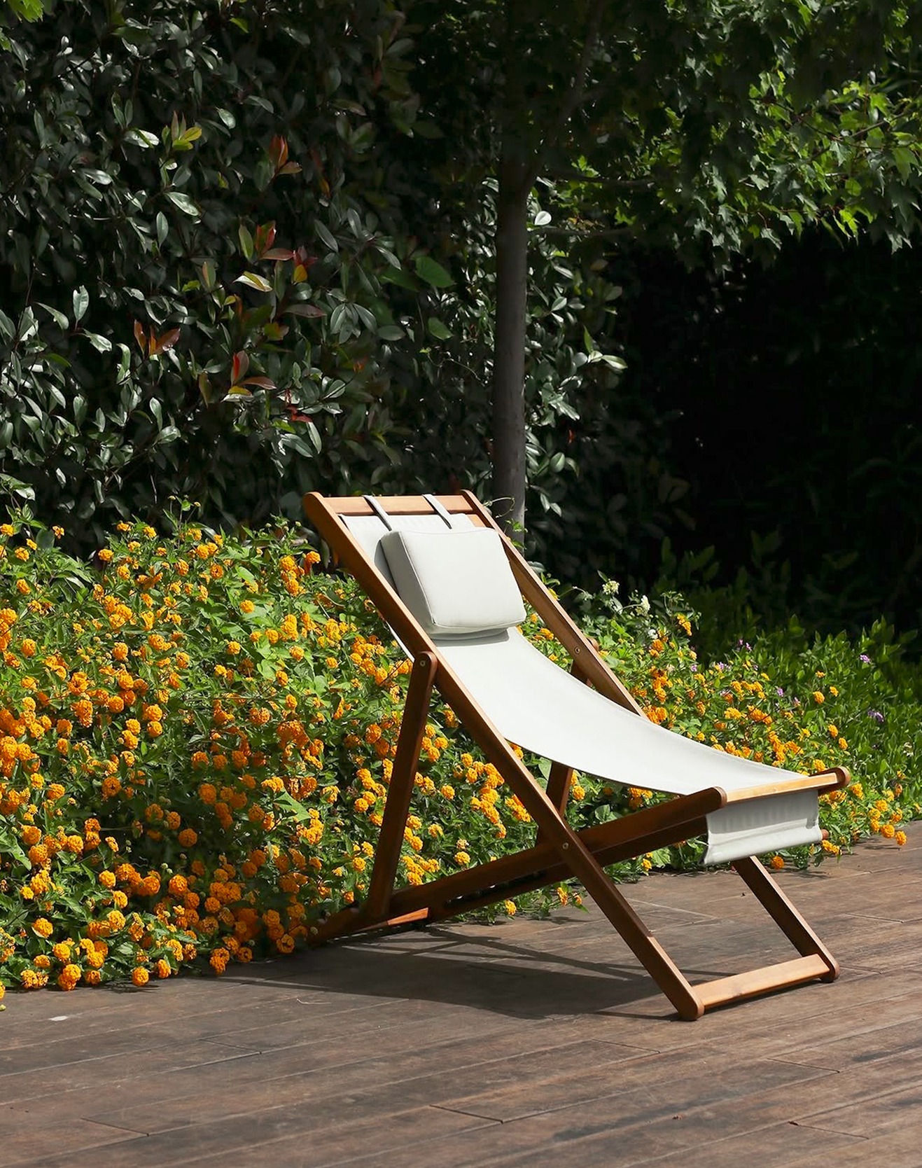 Garden Seating Wooden bench surrounded by dense greenery