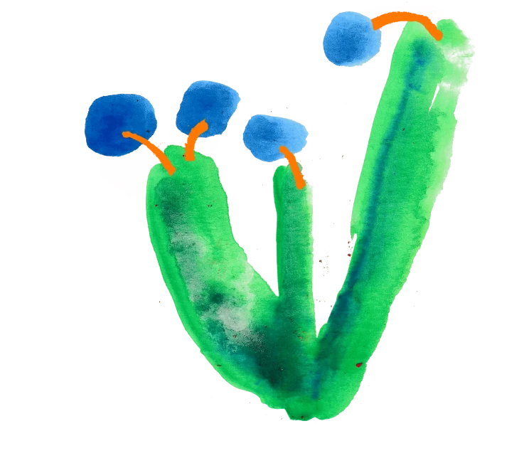 Flores-IV-scaled-v2